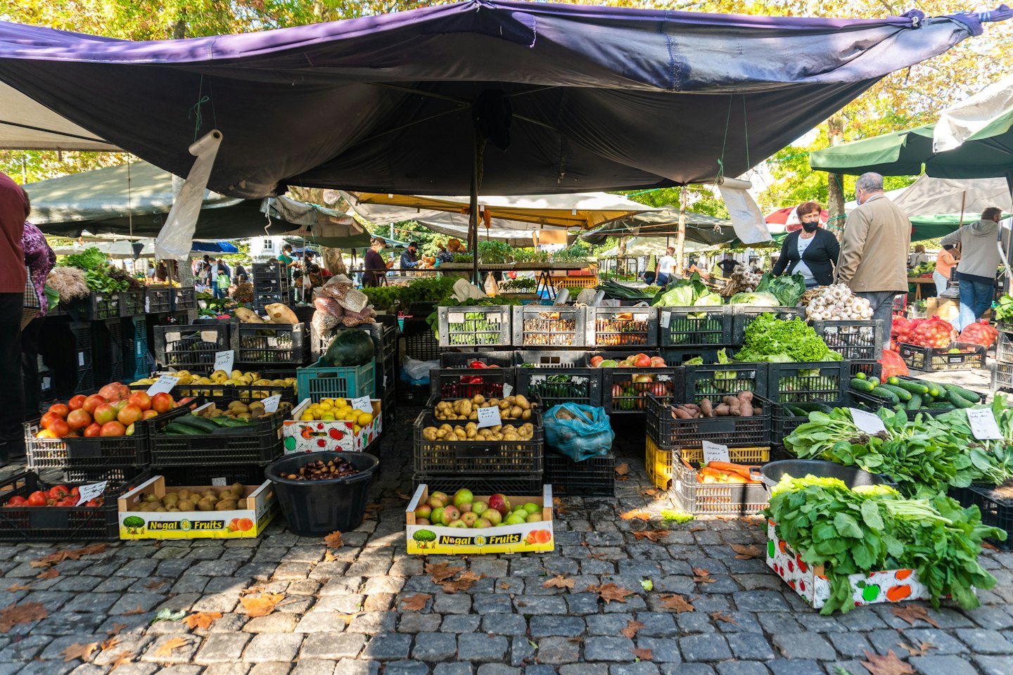 People browsing colorful produce at an outdoor farmers market.